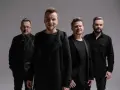 Ile kosztuje koncert Feel? Ceny, które Cię zaskoczą i zniechęcą