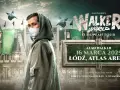 Ile kosztuje bilet na koncert Alana Walkera? Ceny i szczegóły koncertu