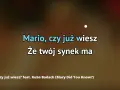 Tekst piosenki mario czy ty wiesz - pełne słowa i znaczenie utworu