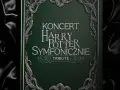 Ile trwa koncert harry potter symfonicznie? Sprawdź szczegóły!