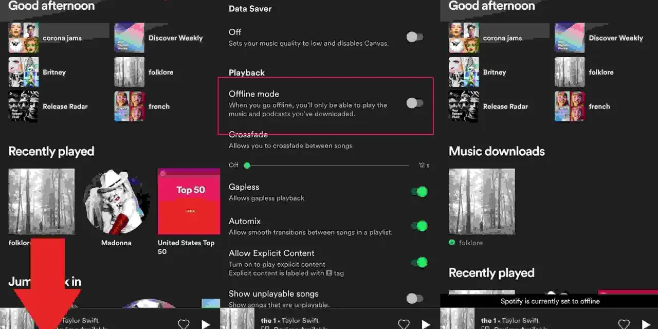 Ekran aplikacji Spotify z włączonym trybem offline.